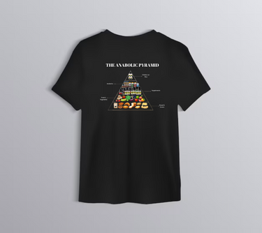 Anabolic Pyramid T-shirt